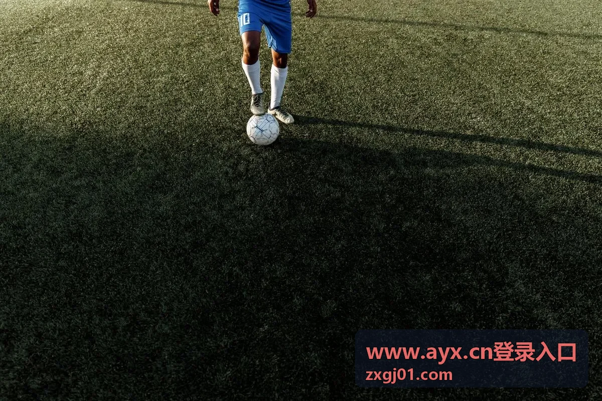 www.ayx.cn登录入口 登录步骤拆解缩略图