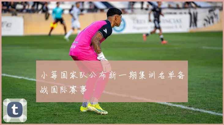小莓国家队公布新一期集训名单备战国际赛事