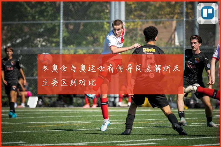 冬奥会与奥运会有何异同点解析及主要区别对比