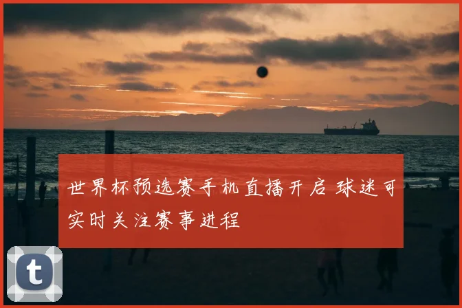 世界杯预选赛手机直播开启 球迷可实时关注赛事进程