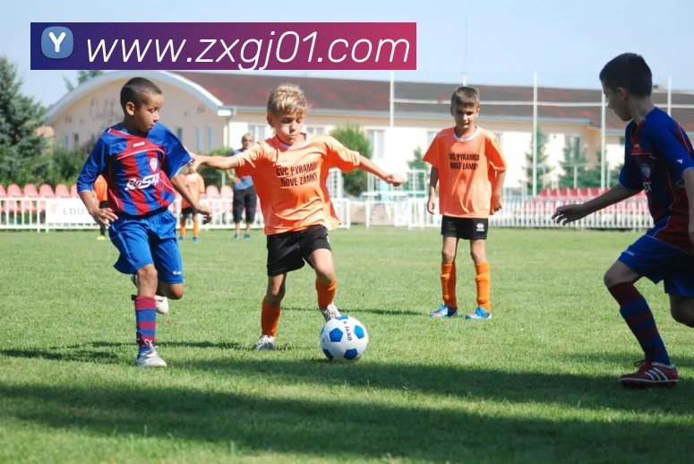 App Interface Preview